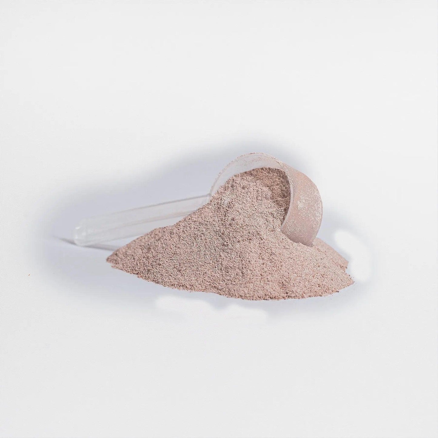 VidaFuel Plant Protein (Vanilla) New Vida Solutions